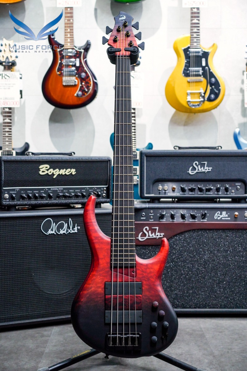 MTD 535-24 US Custom Bass Quilted Maple Top-&#039;Red to Black Fade&#039; w/Roasted Maple Neck &amp; Ebony Fingerboard (2022년산/신품)