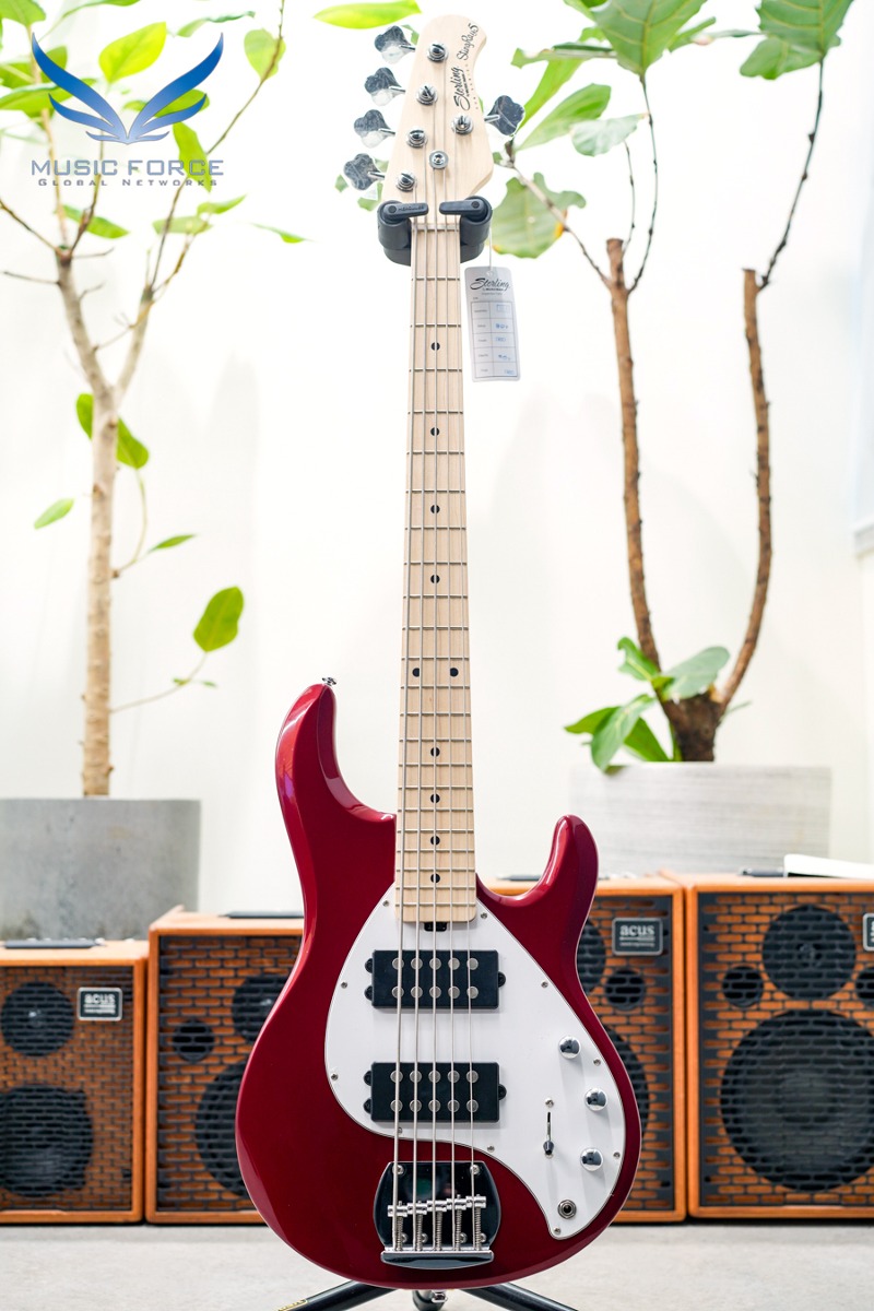 Sterling by Musicman SUB RAY5 HH-Candy Apple Red w/Maple FB (신품) - B205435