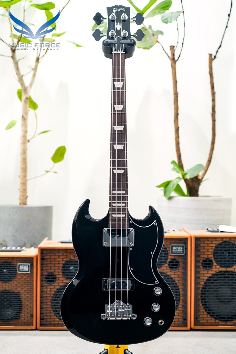 Gibson USA SG Standard Bass-Ebony(신품) - 213930110