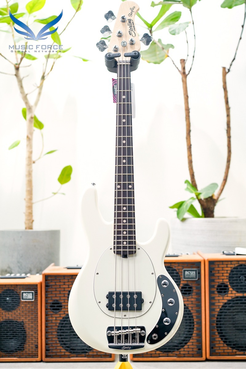 Sterling by Musicman RAYSS 4-Olympic White w/Rosewood FB (신품) - SR67716