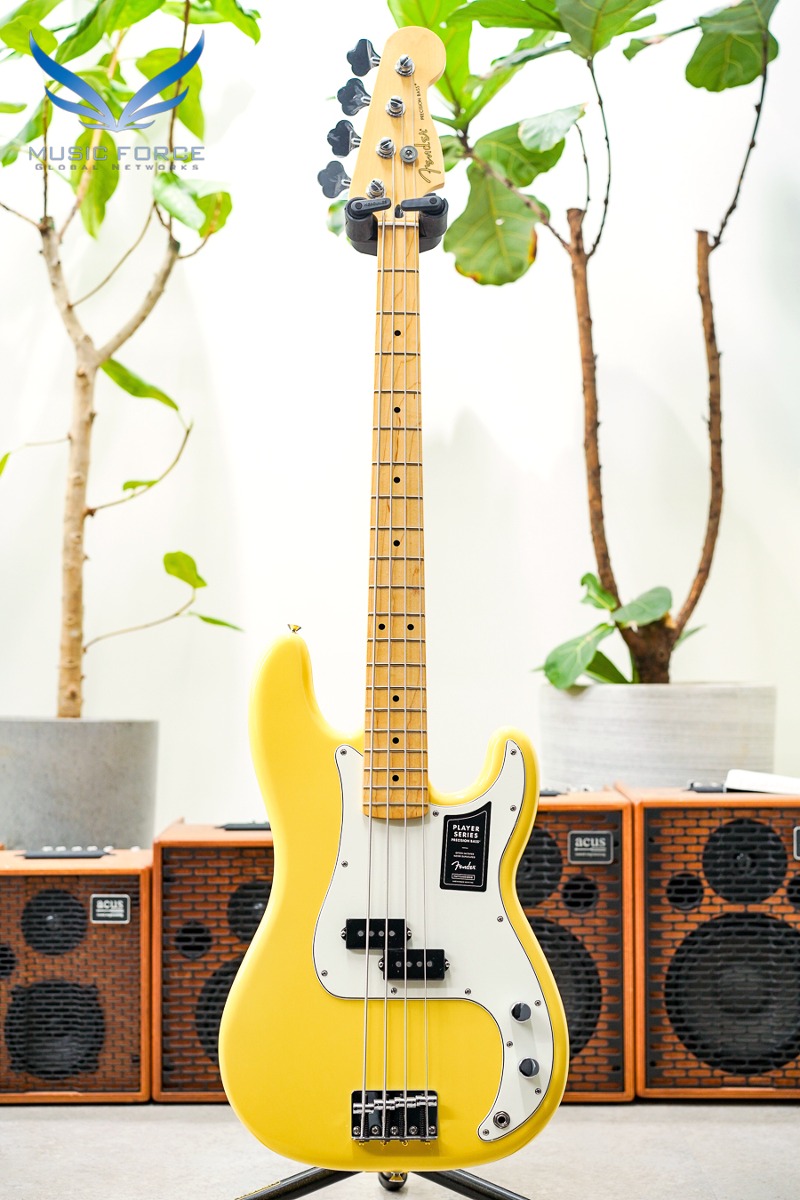 Fender Mexico Player Series Precision Bass-Buttercream w/Maple FB (신품) 펜더 멕시코 플레이어 프레시전 베이스 - MX23120697